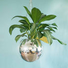 Disco Ball Planter - Life's Fun Treasures