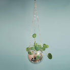 Disco Ball Planter - Life's Fun Treasures