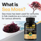 Black Seed Oil Bladder Wrack Turmeric 16-in-1 Supplements Joint Support Sea Moss Capsule.