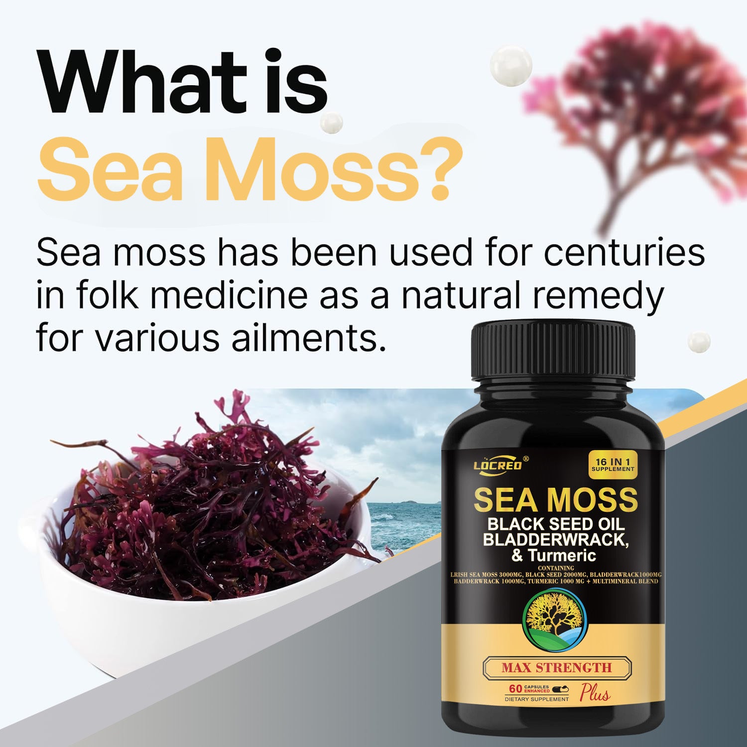 Black Seed Oil Bladder Wrack Turmeric 16-in-1 Supplements Joint Support Sea Moss Capsule.