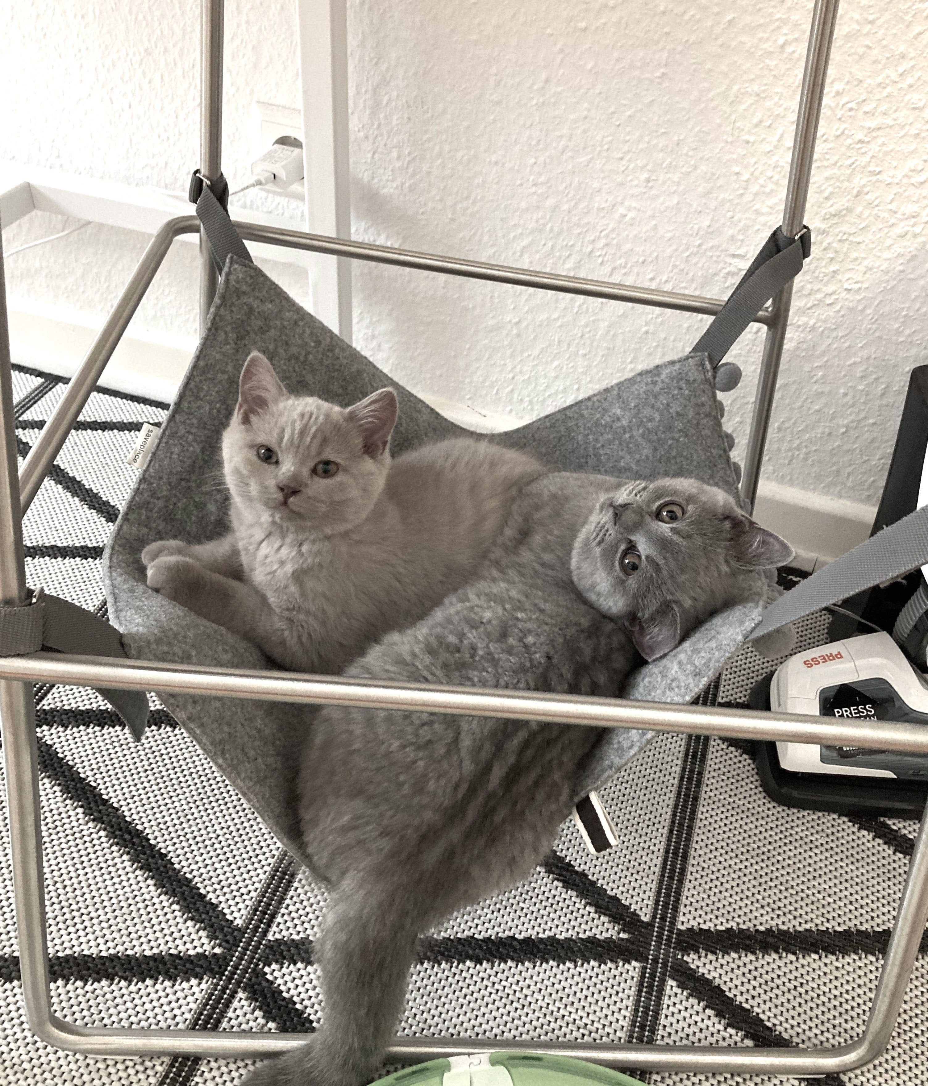 MIST Saveplace® chair/table hammock, 3 Sizes - Life's Fun Treasures