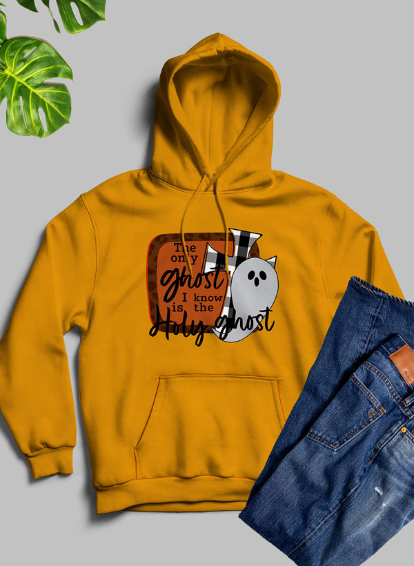The Only Ghost I Know Hoodie - Life's Fun Treasures
