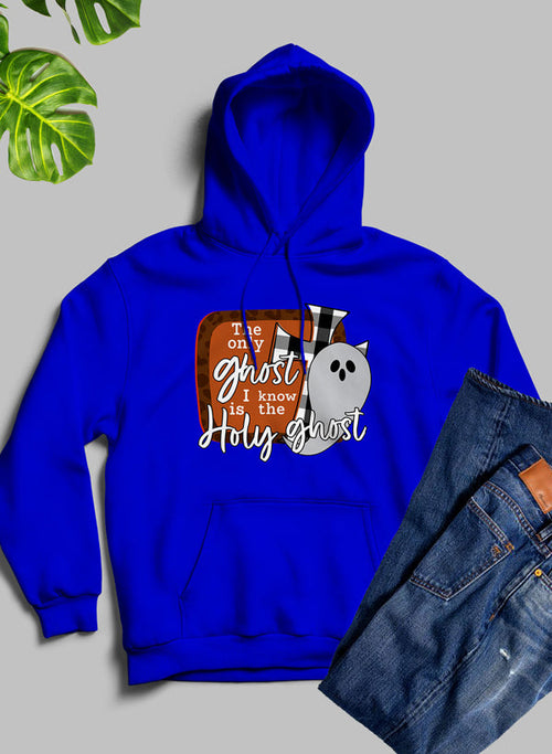 The Only Ghost I Know Hoodie - Life's Fun Treasures