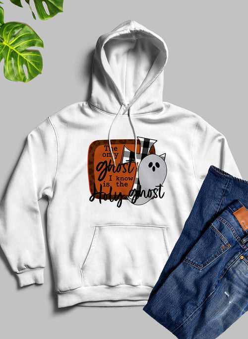The Only Ghost I Know Hoodie - Life's Fun Treasures