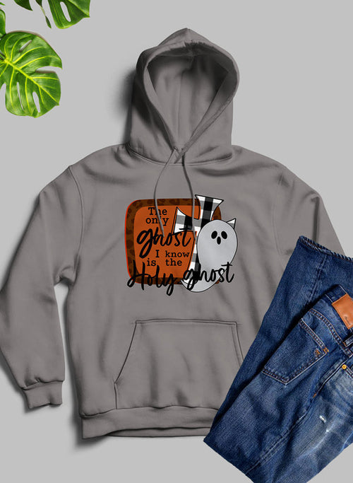 The Only Ghost I Know Hoodie - Life's Fun Treasures