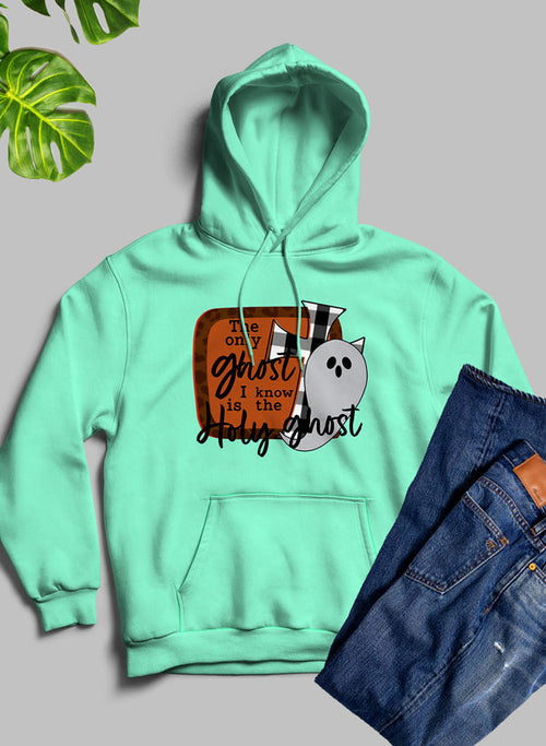 The Only Ghost I Know Hoodie - Life's Fun Treasures
