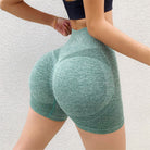 Fitness Yoga Shorts Pants Butt Lifting Seamless Leggings Women Gym.