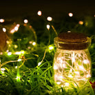 Mini Fiery 100 Lights Shine Like Firebugs With Solar Power 2/ Pak - Life's Fun Treasures