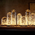 Mini Fiery 100 Lights Shine Like Firebugs With Solar Power 2/ Pak - Life's Fun Treasures