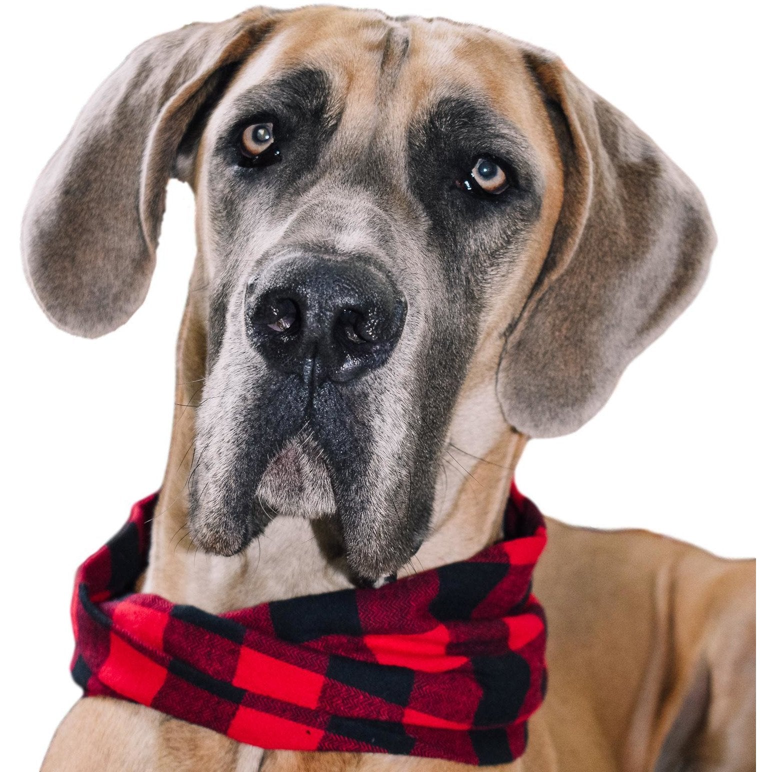 Al Borland Scarf - Life's Fun Treasures