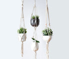 Plant Hanger, Macrame Plant Holder - Life's Fun Treasures