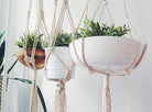 Macrame Plant Hanger - Life's Fun Treasures