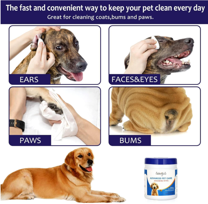 Pet Wipes with free cotton swabs - Life's Fun Treasures