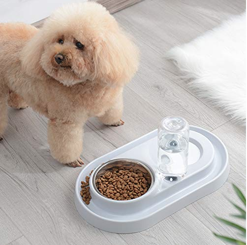 Stainless Steel Pet Bowls with Automatic Water Bottle - Life's Fun Treasures
