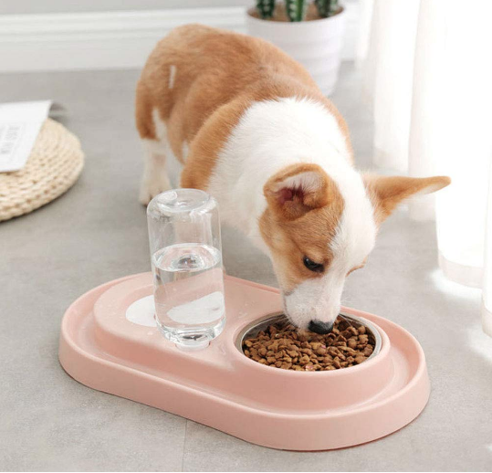 Stainless Steel Pet Bowls with Automatic Water Bottle - Life's Fun Treasures