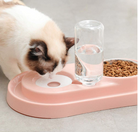 Stainless Steel Pet Bowls with Automatic Water Bottle - Life's Fun Treasures
