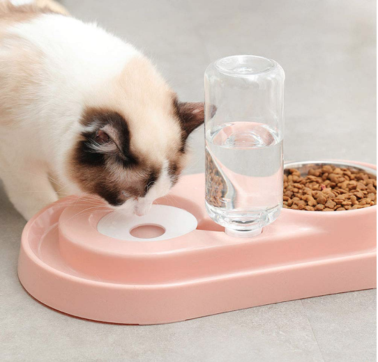 Stainless Steel Pet Bowls with Automatic Water Bottle - Life's Fun Treasures