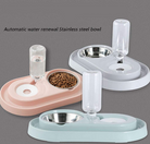 Stainless Steel Pet Bowls with Automatic Water Bottle - Life's Fun Treasures
