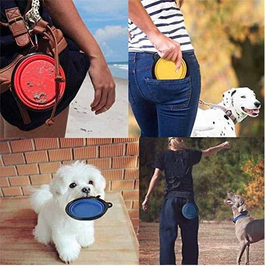 Collapsible Dog Bowls - Life's Fun Treasures