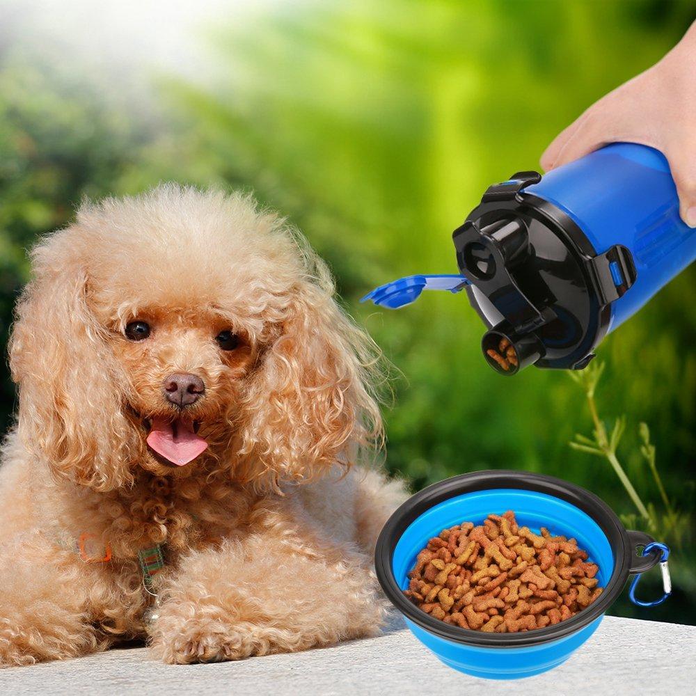 2 in 1 Dog Drinking Water Bottle with Bowls - Life's Fun Treasures