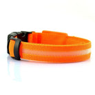 USB RECHARGEABLE LED PET DOG COLLAR - Life's Fun Treasures