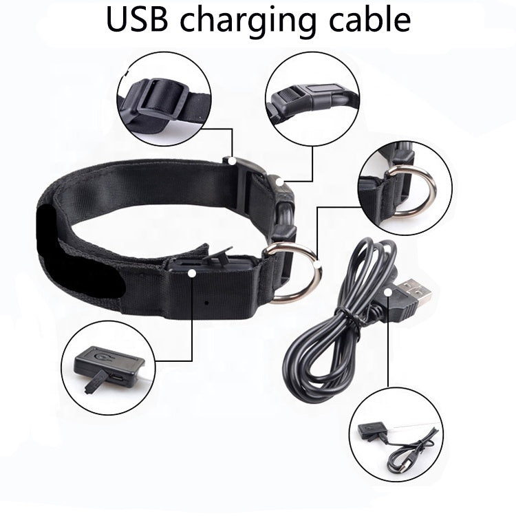 USB RECHARGEABLE LED PET DOG COLLAR - Life's Fun Treasures
