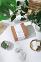Organic Toilet Tabs / Antibacterial / Toilet Cleaning - Life's Fun Treasures