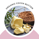 Organic Whipped Body Butter - Life's Fun Treasures