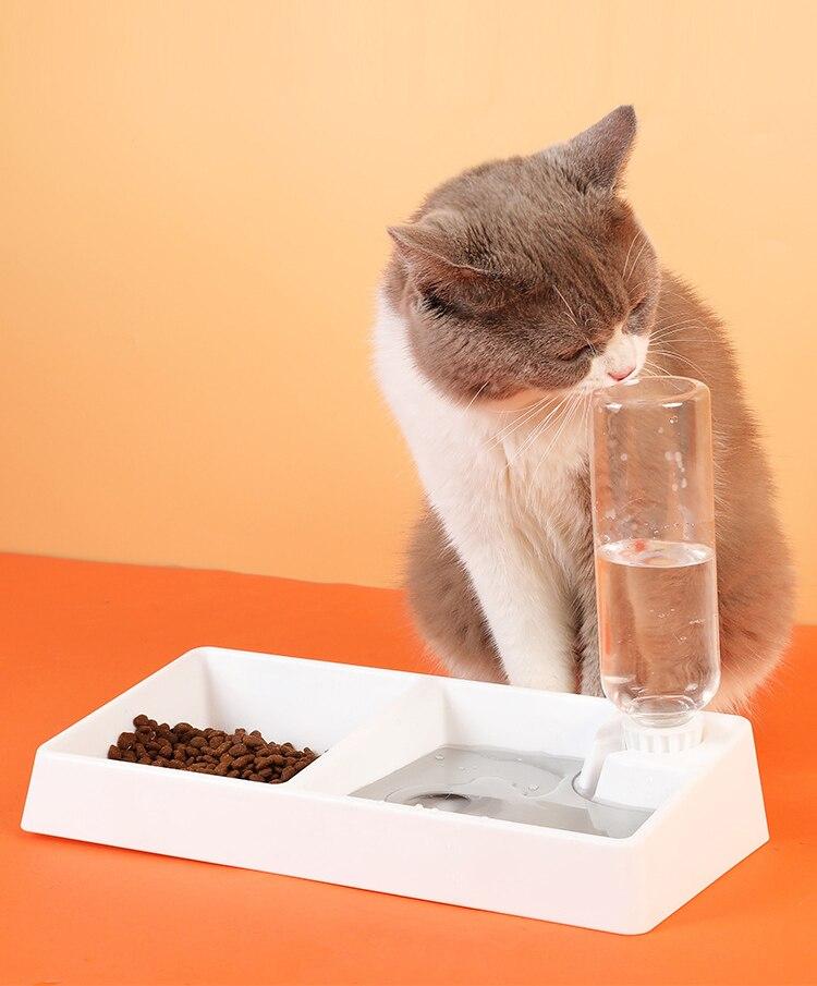 Cat Bowl Dog Water Feeder Bowl Cat Kitten Drinking Fountain Food Dish - Life's Fun Treasures