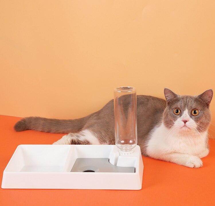 Cat Bowl Dog Water Feeder Bowl Cat Kitten Drinking Fountain Food Dish - Life's Fun Treasures