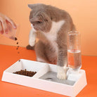 Cat Bowl Dog Water Feeder Bowl Cat Kitten Drinking Fountain Food Dish - Life's Fun Treasures
