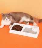 Cat Bowl Dog Water Feeder Bowl Cat Kitten Drinking Fountain Food Dish - Life's Fun Treasures