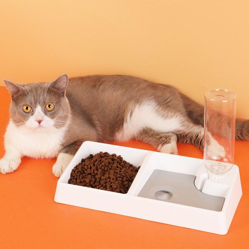 Cat Bowl Dog Water Feeder Bowl Cat Kitten Drinking Fountain Food Dish - Life's Fun Treasures