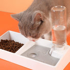 Cat Bowl Dog Water Feeder Bowl Cat Kitten Drinking Fountain Food Dish - Life's Fun Treasures