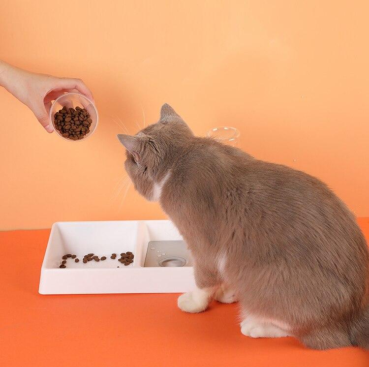Cat Bowl Dog Water Feeder Bowl Cat Kitten Drinking Fountain Food Dish - Life's Fun Treasures
