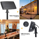 Solar String Lights - 50ft G40 Globe Garden Light, 25 Edison Bulbs (1 - Life's Fun Treasures