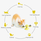 Cats Whirling LED Balls - Life's Fun Treasures