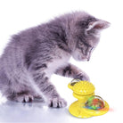 Cats Whirling LED Balls - Life's Fun Treasures