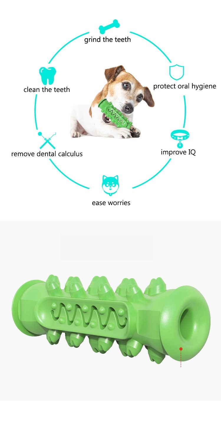 Chewing Toy for Dogs - Life's Fun Treasures